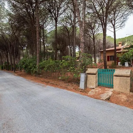 Valeria, 8 Guests, Surrounded By Pine Forest And The Sea *