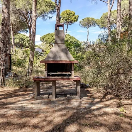 Valeria, 8 Guests, Surrounded By Pine Forest And The Sea Lägenhet *