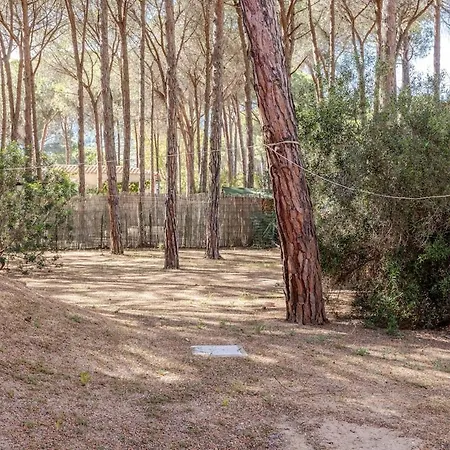 Valeria, 8 Guests, Surrounded By Pine Forest And The Sea * Fort Village
