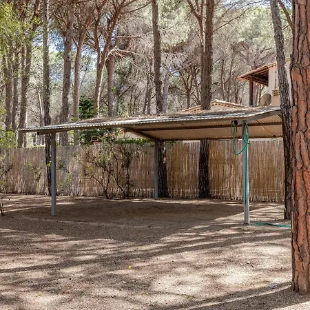 Valeria, 8 Guests, Surrounded By Pine Forest And The Sea * Fort Village